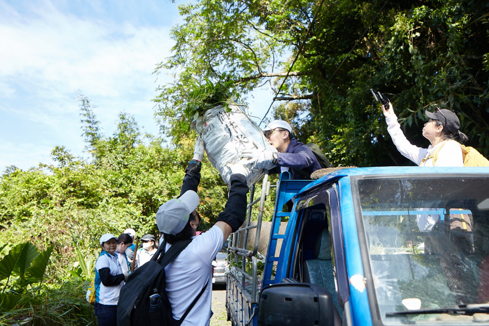 一路向西串聯志工組成水環境巡守隊，針對霄裡溪沿岸3公里的小花蔓澤蘭，定期進行移除與防治工作