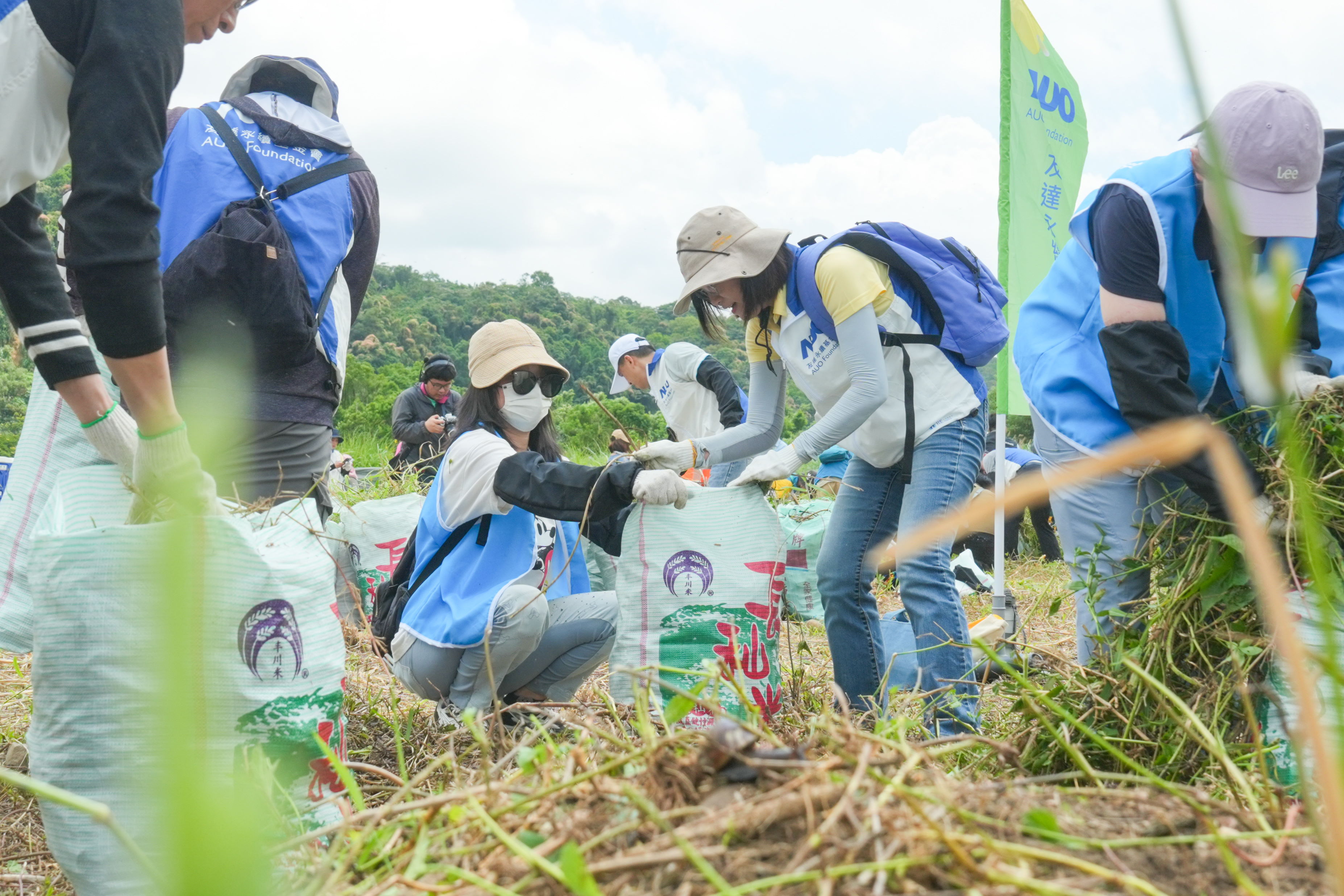 一路向西除蔓防治計畫，除了鎖定霄裡溪沿岸3.2公里移除外來入侵種小花蔓澤蘭，並進行物種與空拍調查，共記錄91科181屬239種維管束植物，顯示該區域具高度生態價值